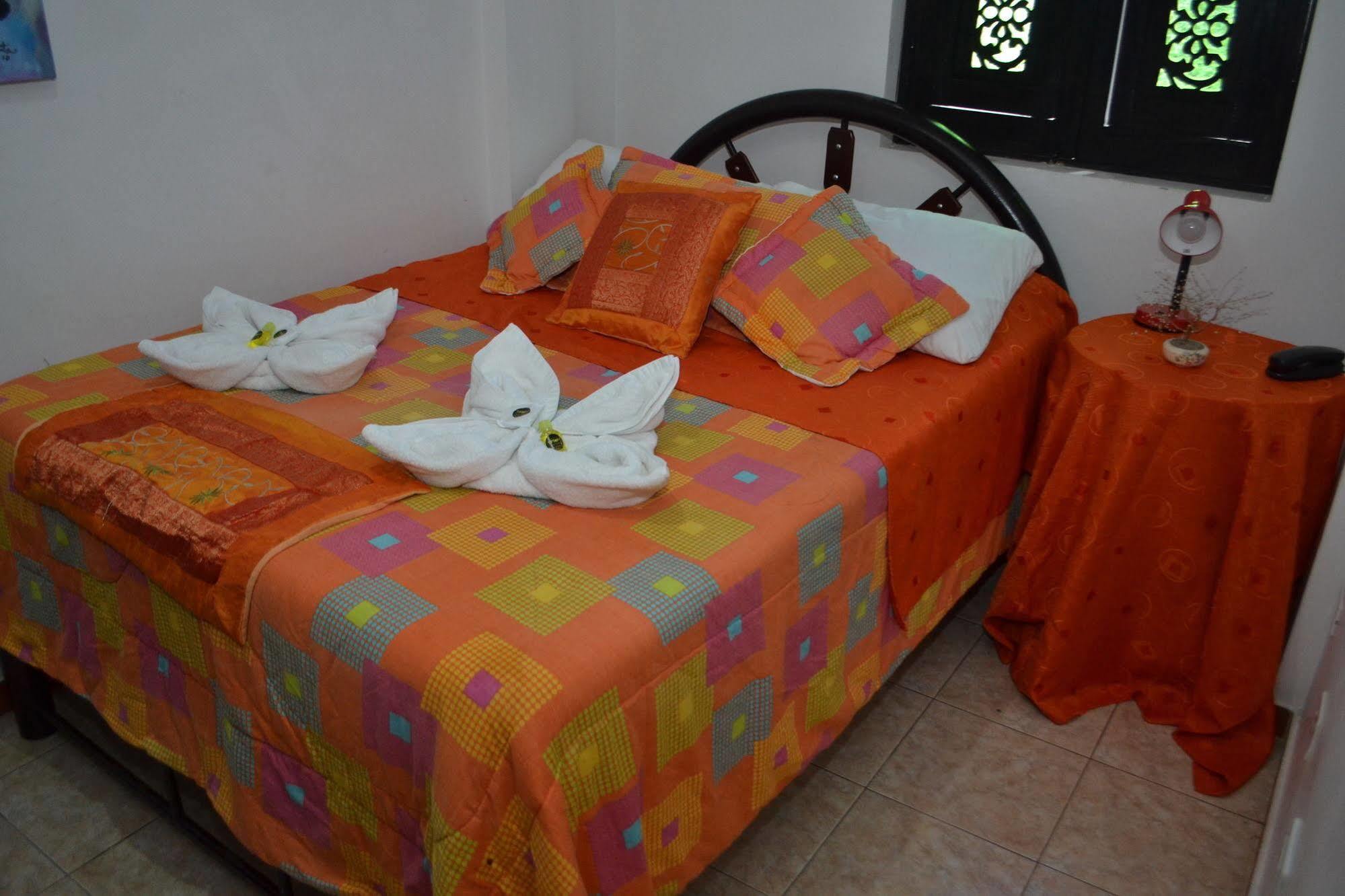 Tip Top Hostel Hostal