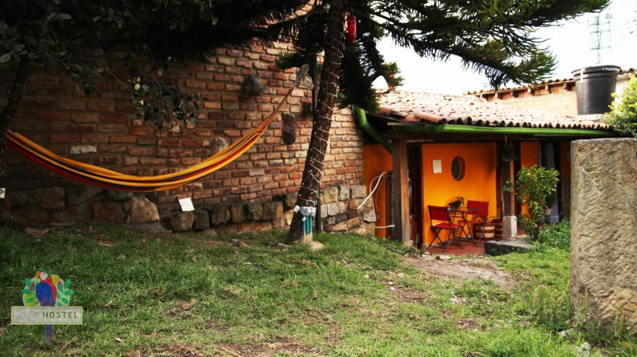 Hostal Vivo