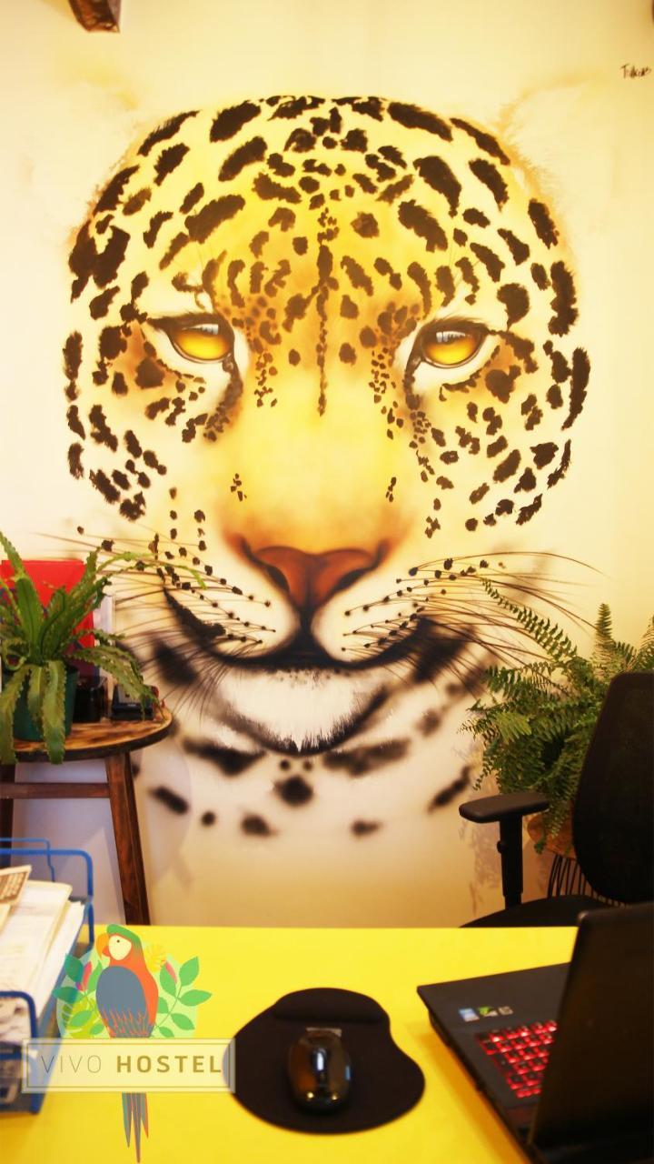 Vivo Bogotá