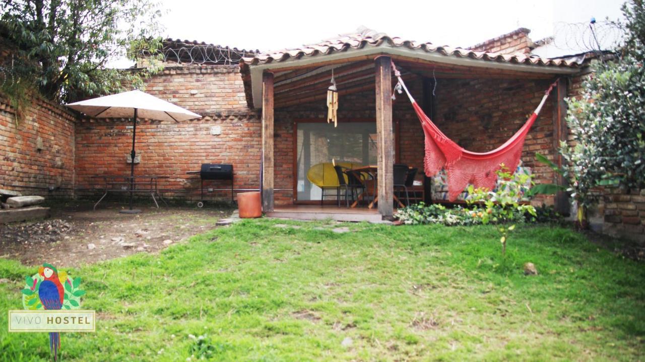 Vivo Hostal *