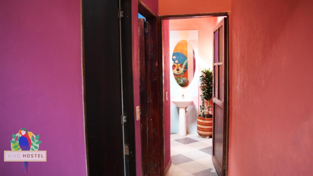 Vivo Hostal