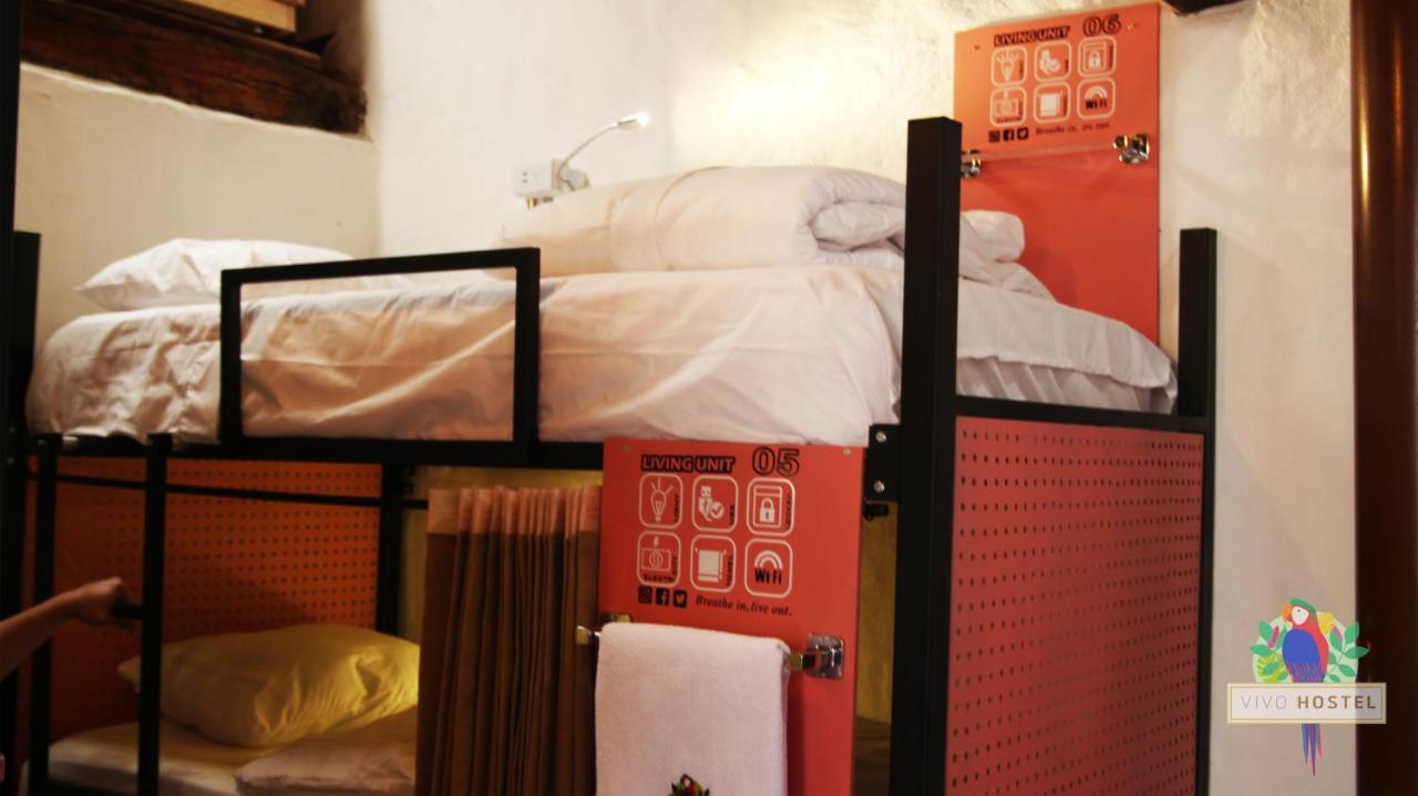 Vivo Hostal *