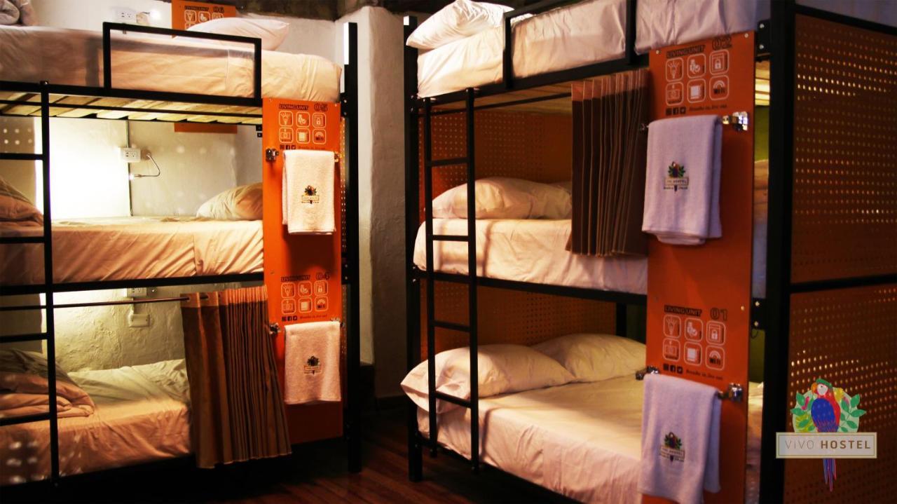 Hostal Vivo *