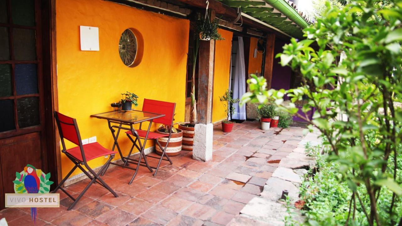 Hostal Vivo