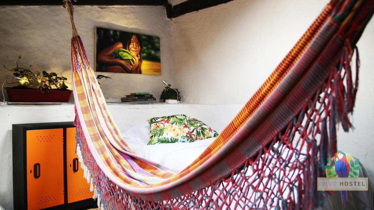 Vivo Hostal *