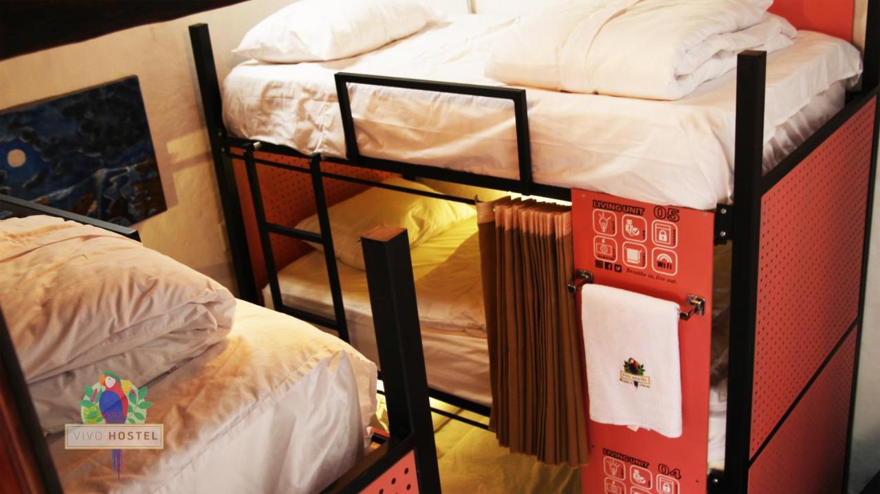 Vivo Hostal