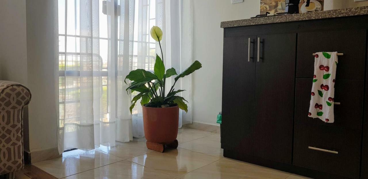 Kalos Meraki Apartasuites