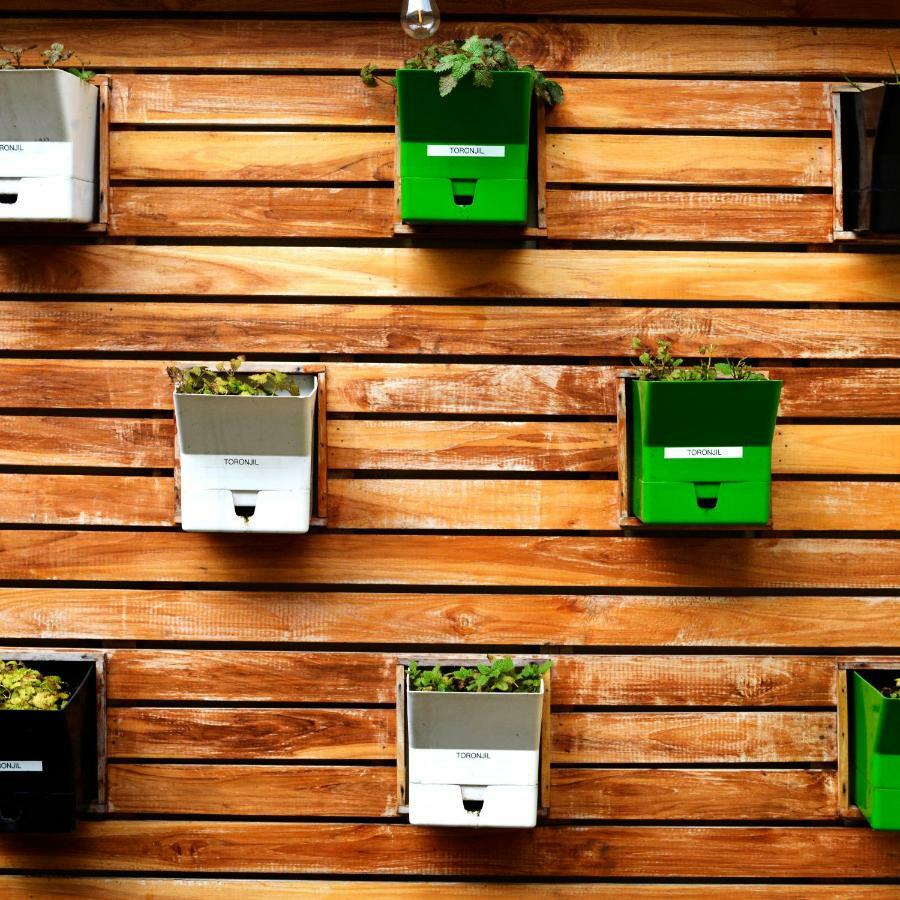 Egreen 111