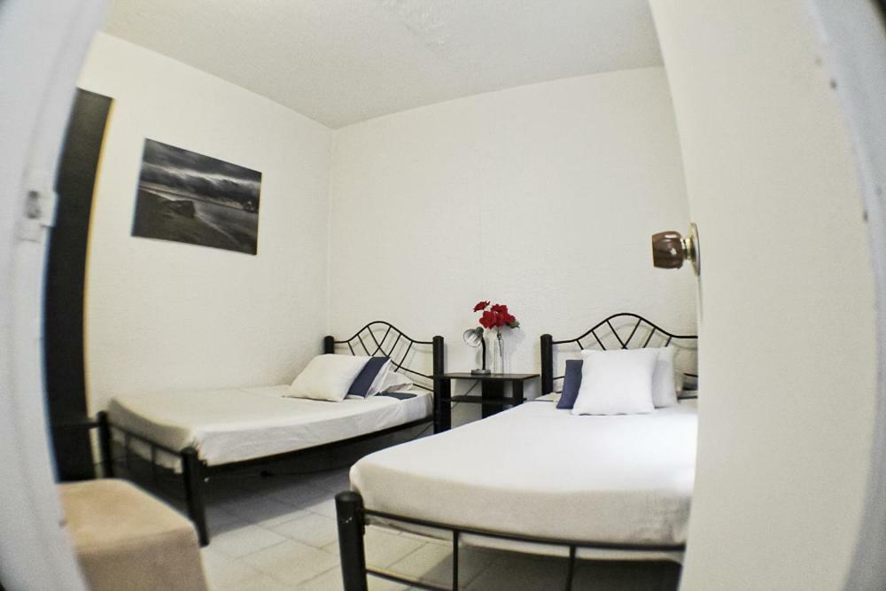 Hostel Mi Casa Blanca Guest house