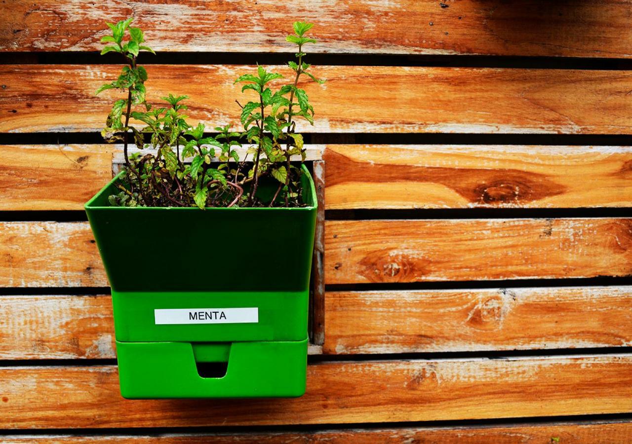 Egreen 111