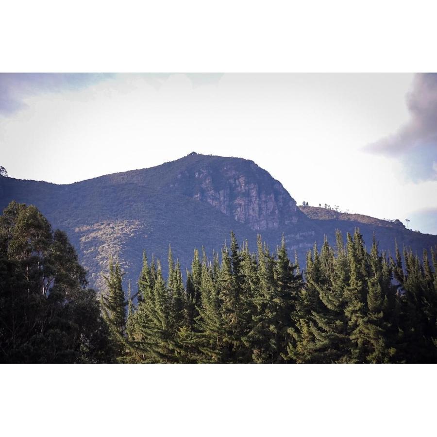 Palú Eco Aldea Bogotá