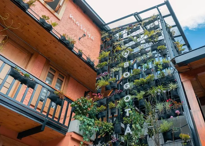 Masaya Bogotá