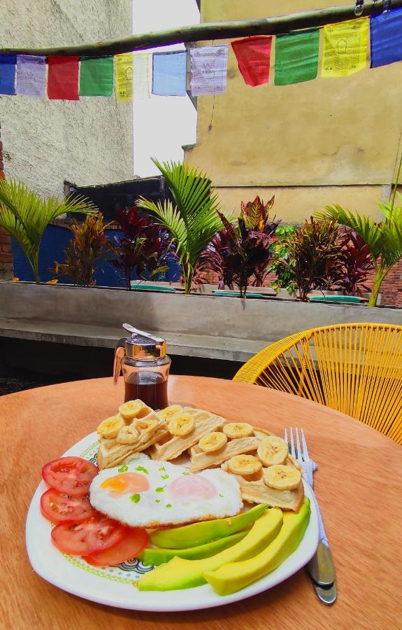Hostal Trip Monkey Chapinero