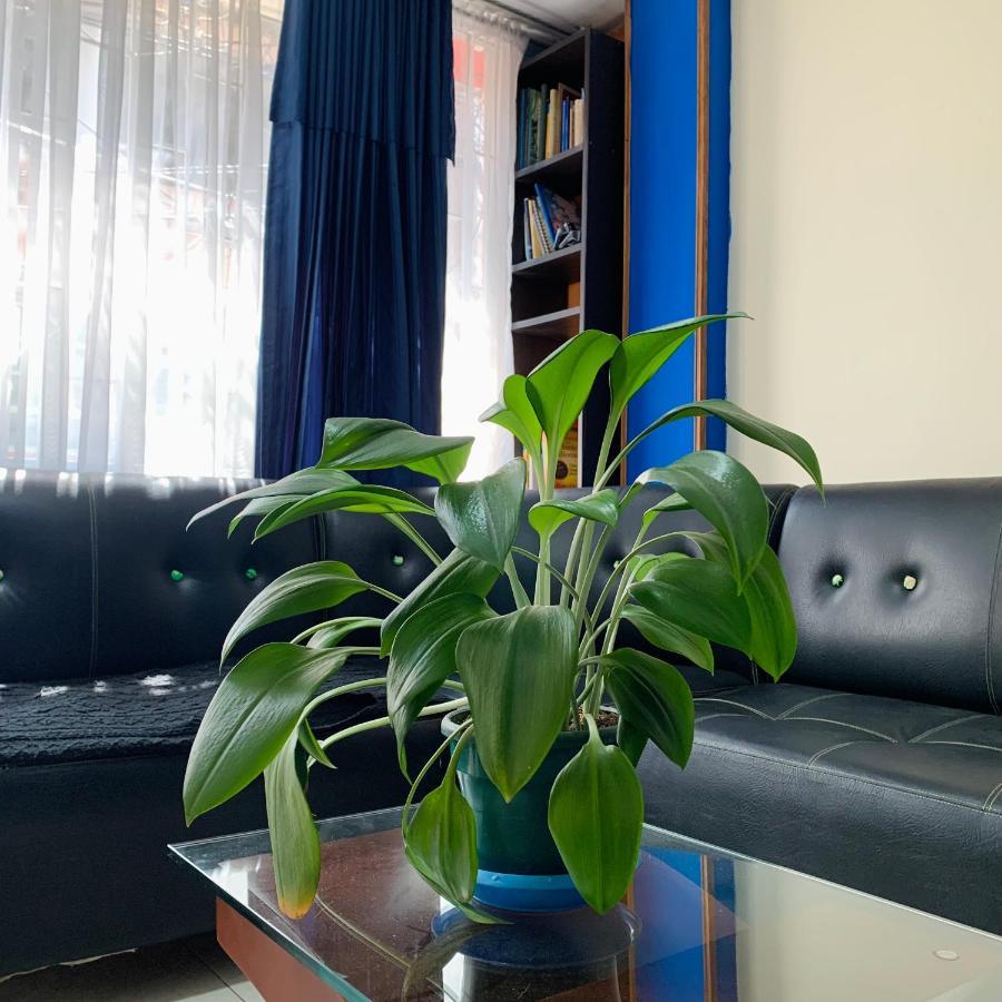 Pensión Habitación Cercana Al Aeropuerto