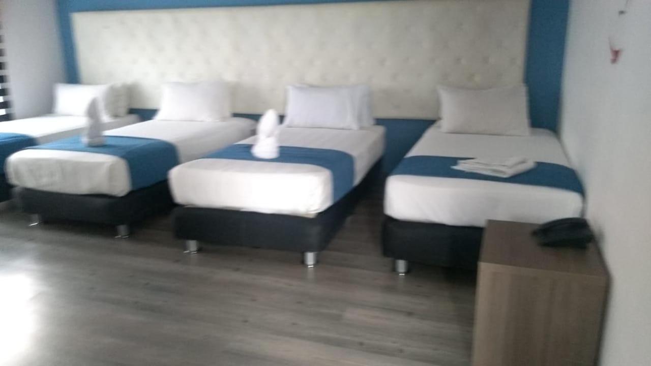 Hotel Plaza Miranda 3*