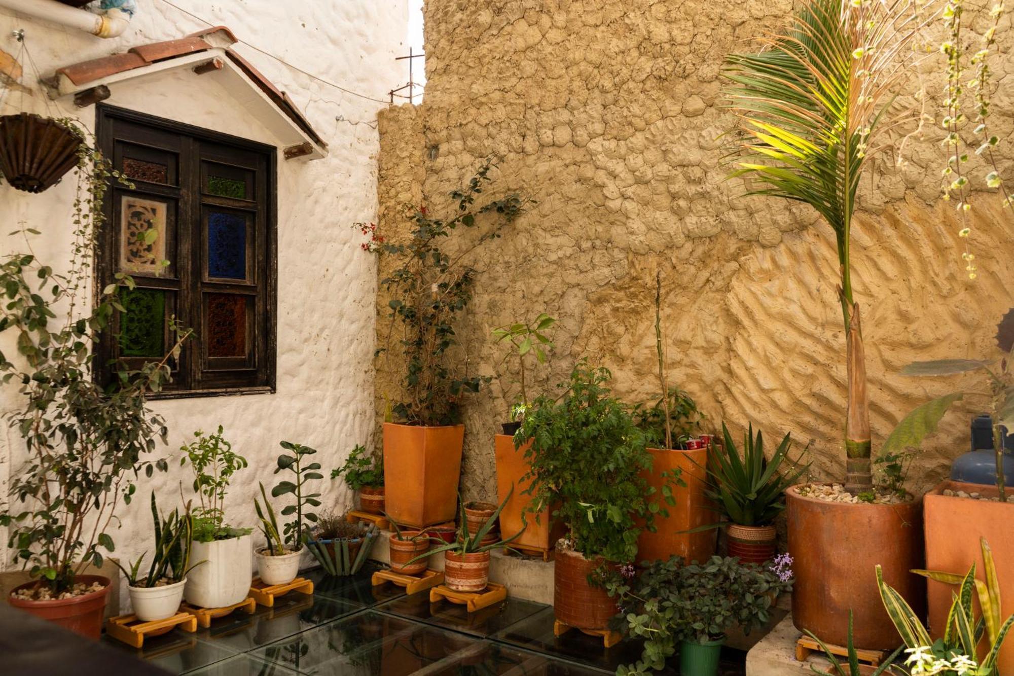 Casa Tsao