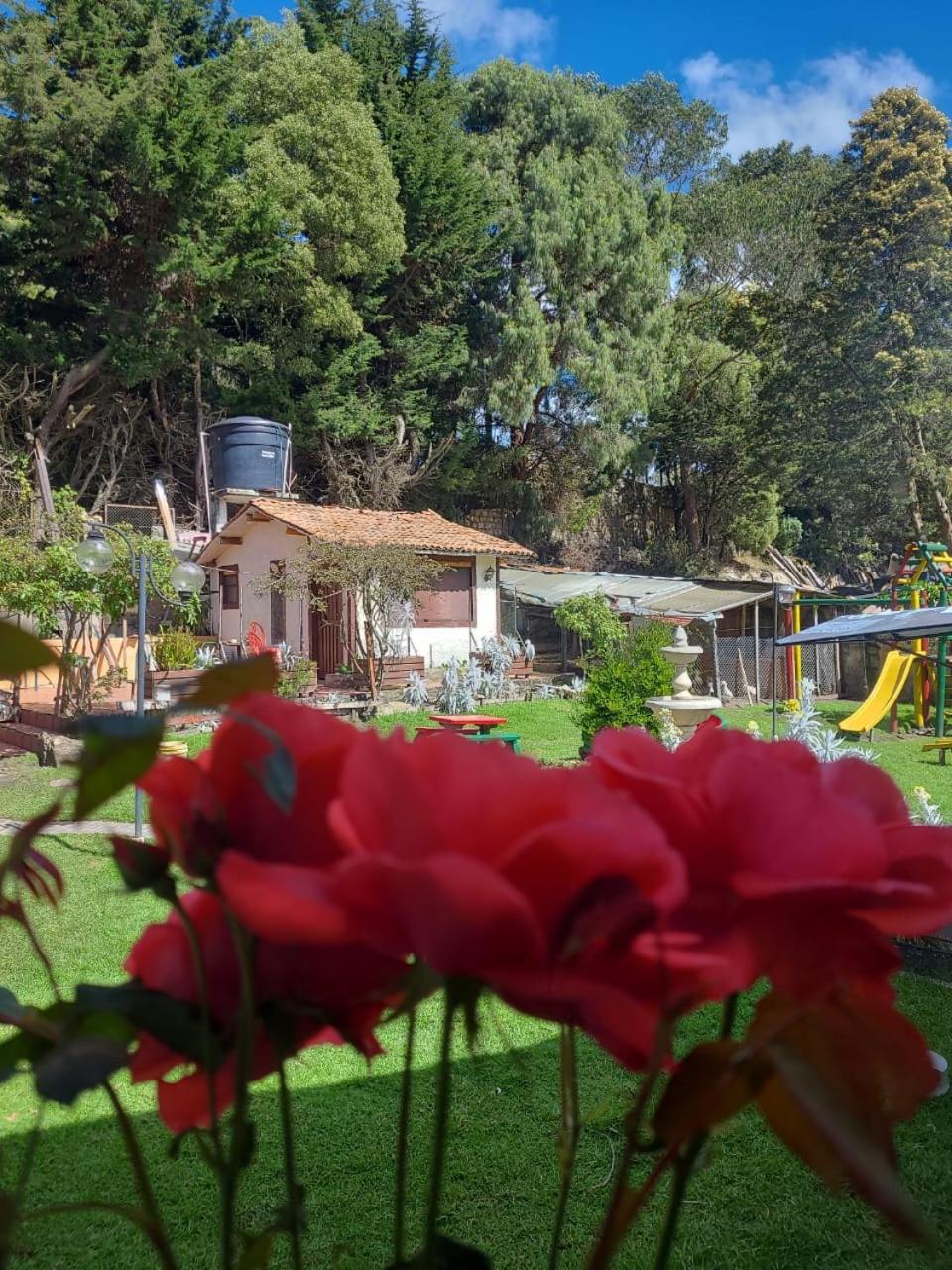 The Frailejon House Bogotá