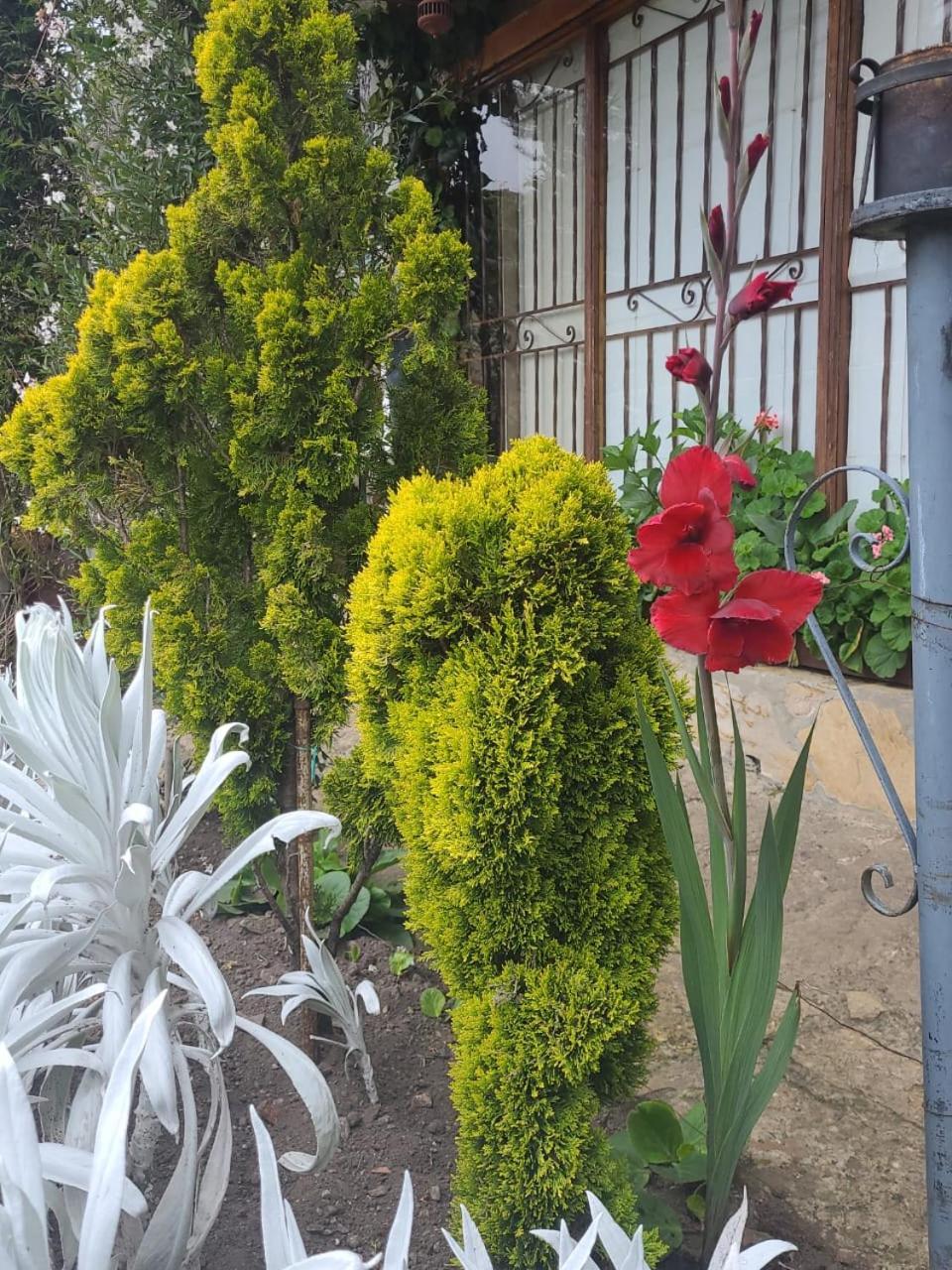 The Frailejon House Casa rural Bogotá