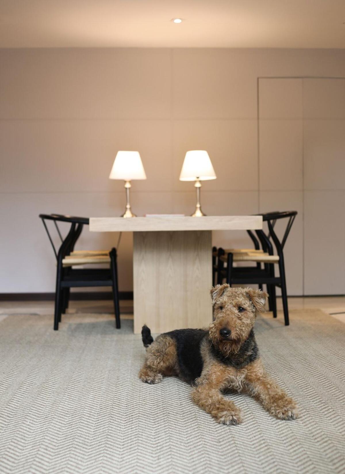 Apartamento Comfort And Style In Zona G Pet Friendly