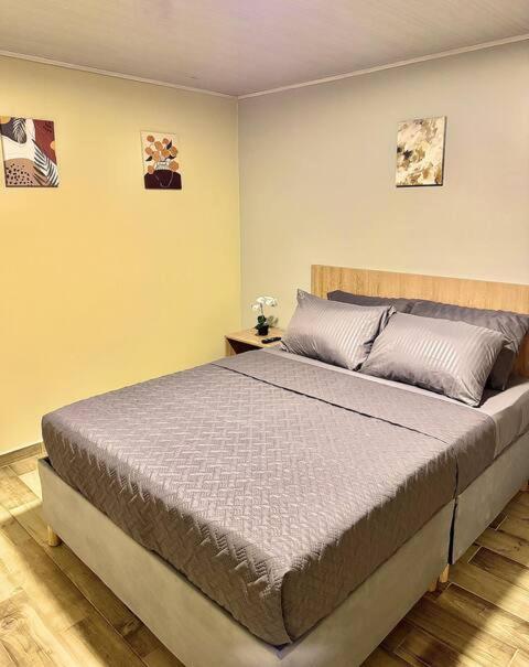 Hostelfc Santa Barbara Pensión Bogotá