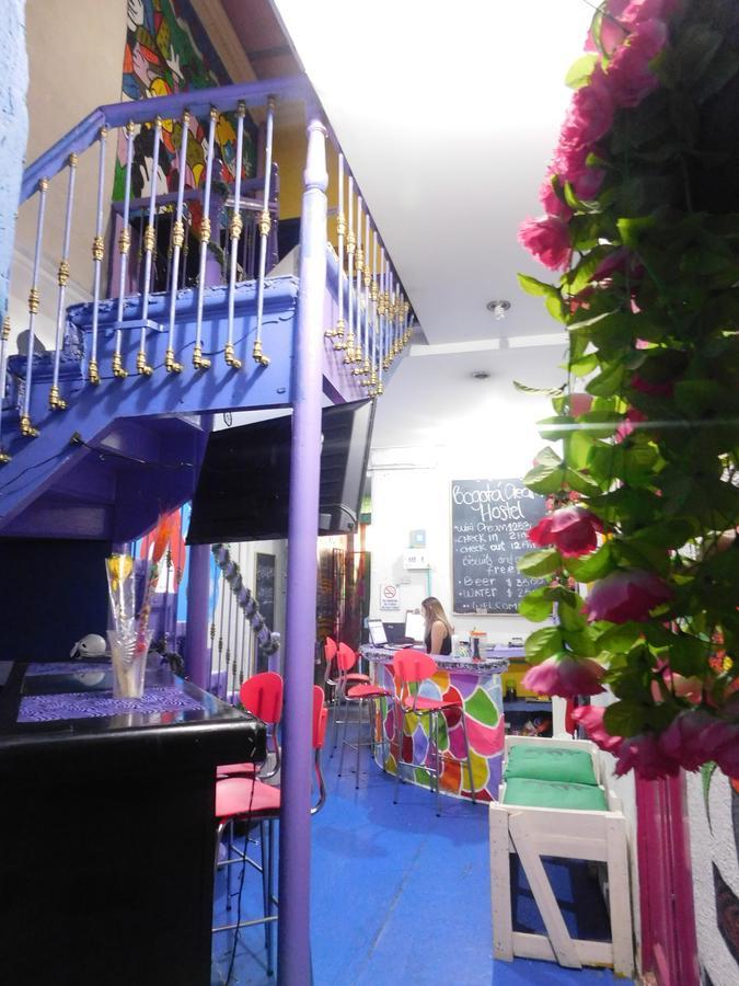 Vibra Hostal *